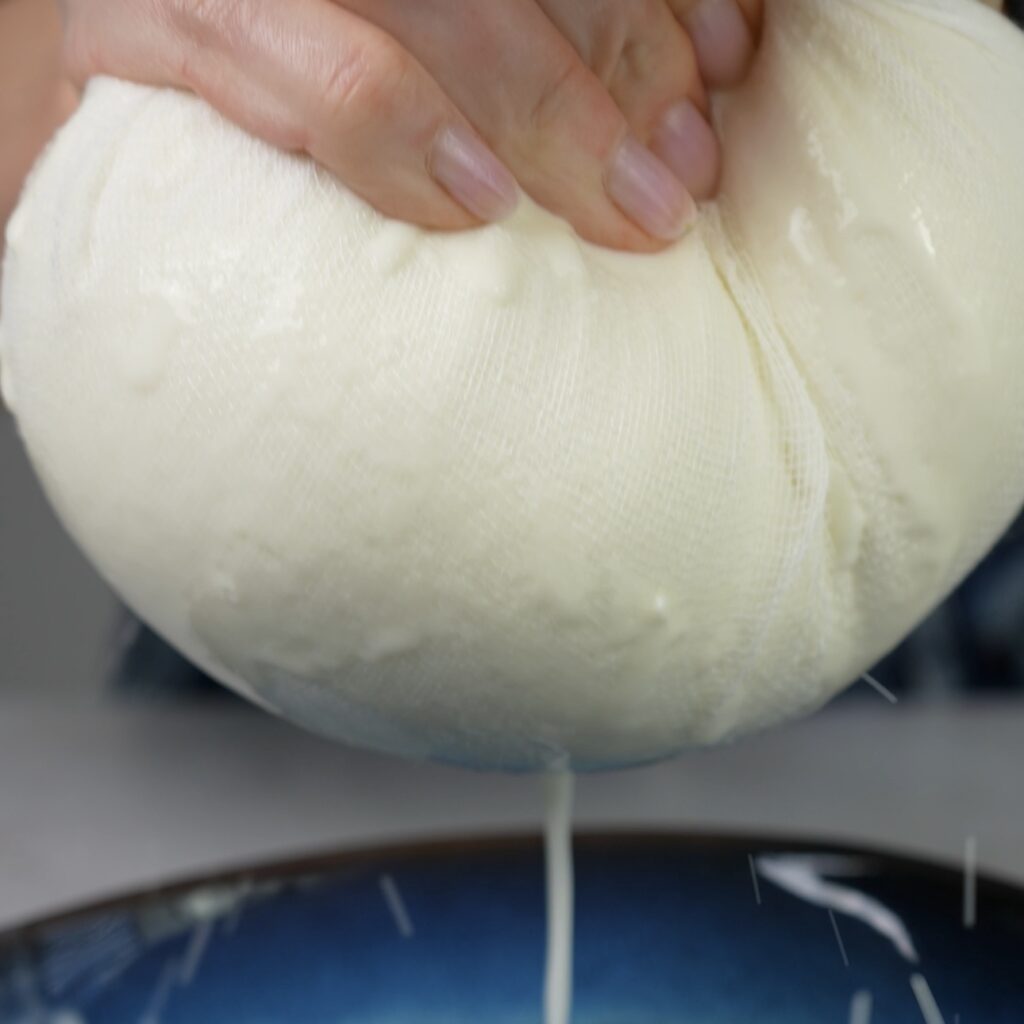 Ricotta cheese in cheesecloth being squeezed to remove excess liquid.