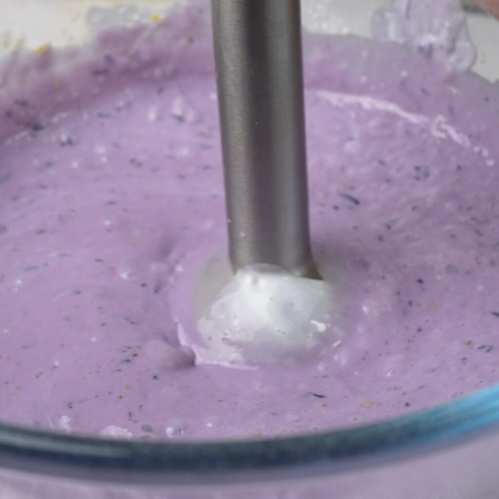 Blended mixture of fresh blueberries and ricotta cheese in a bowl