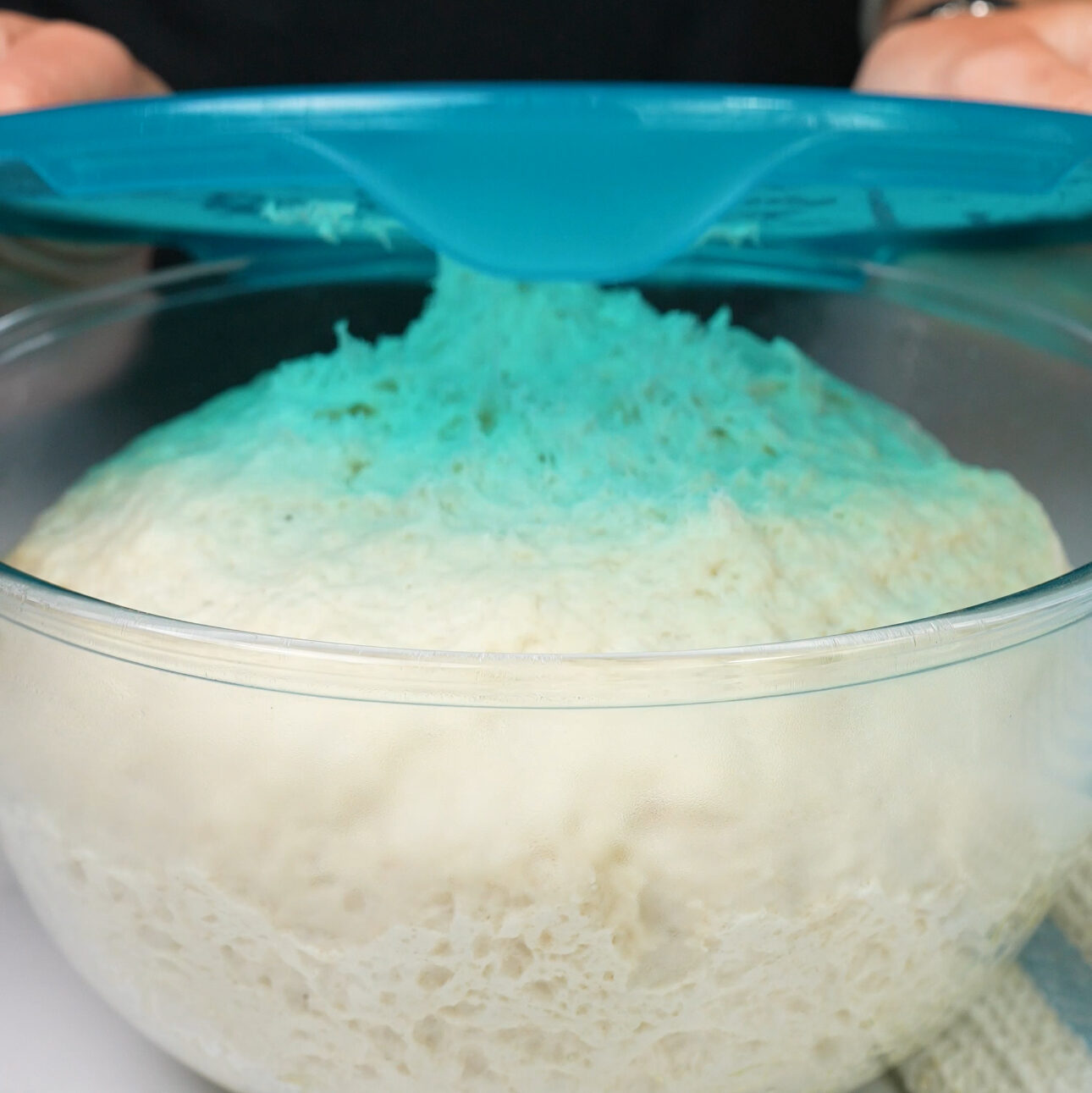 Risen dough in a glass bowl.