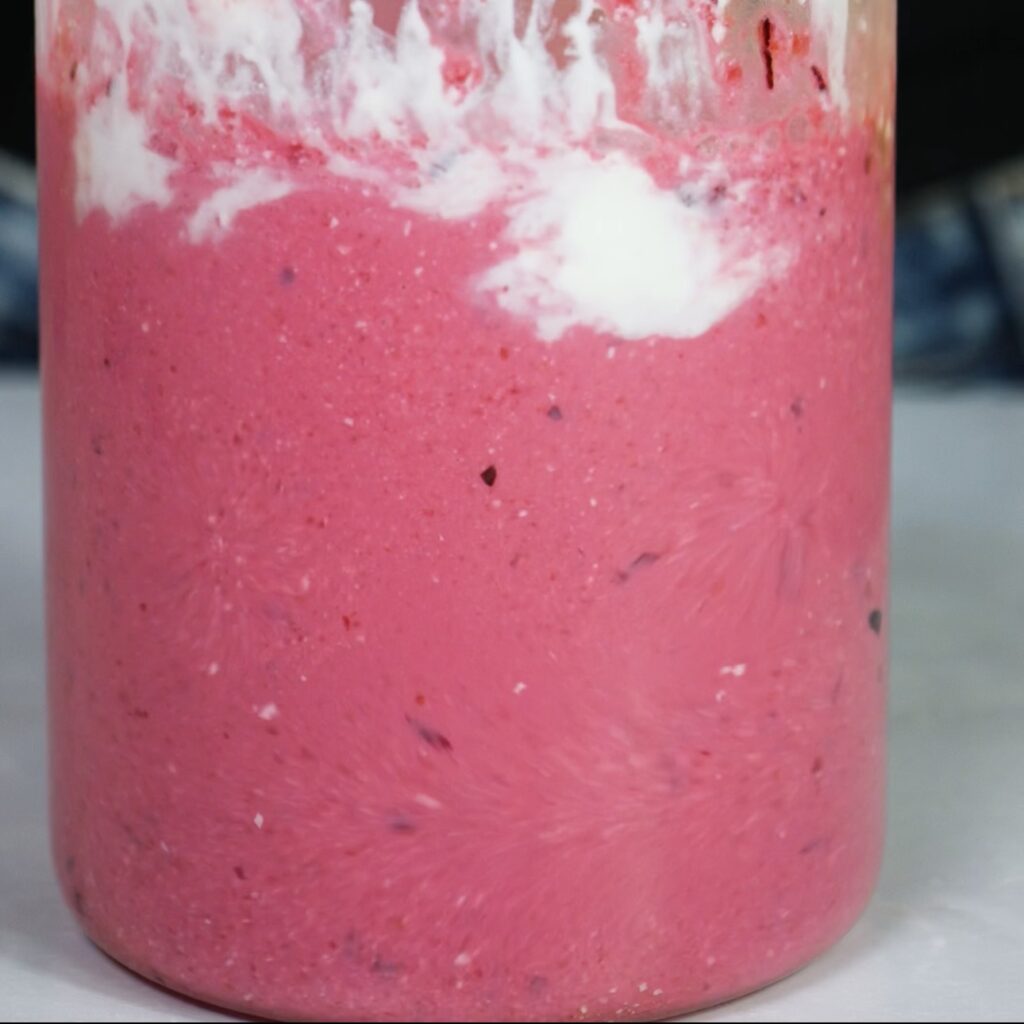 Blending cherries, cottage cheese, and honey with an immersion blender