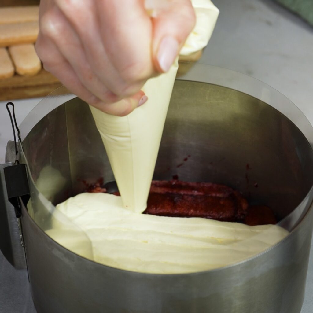 Piping mascarpone cream over sponge fingers in a cake ring