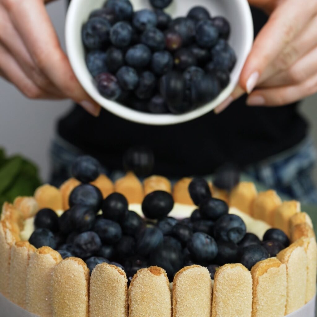 Adding fresh blueberries on top of blueberry tiramisu cake