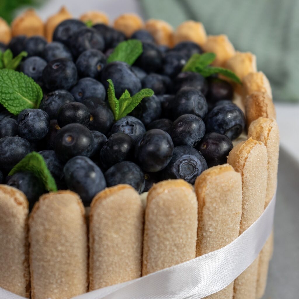 Blueberry tiramisu cake with mascarpone cream and blueberry layers