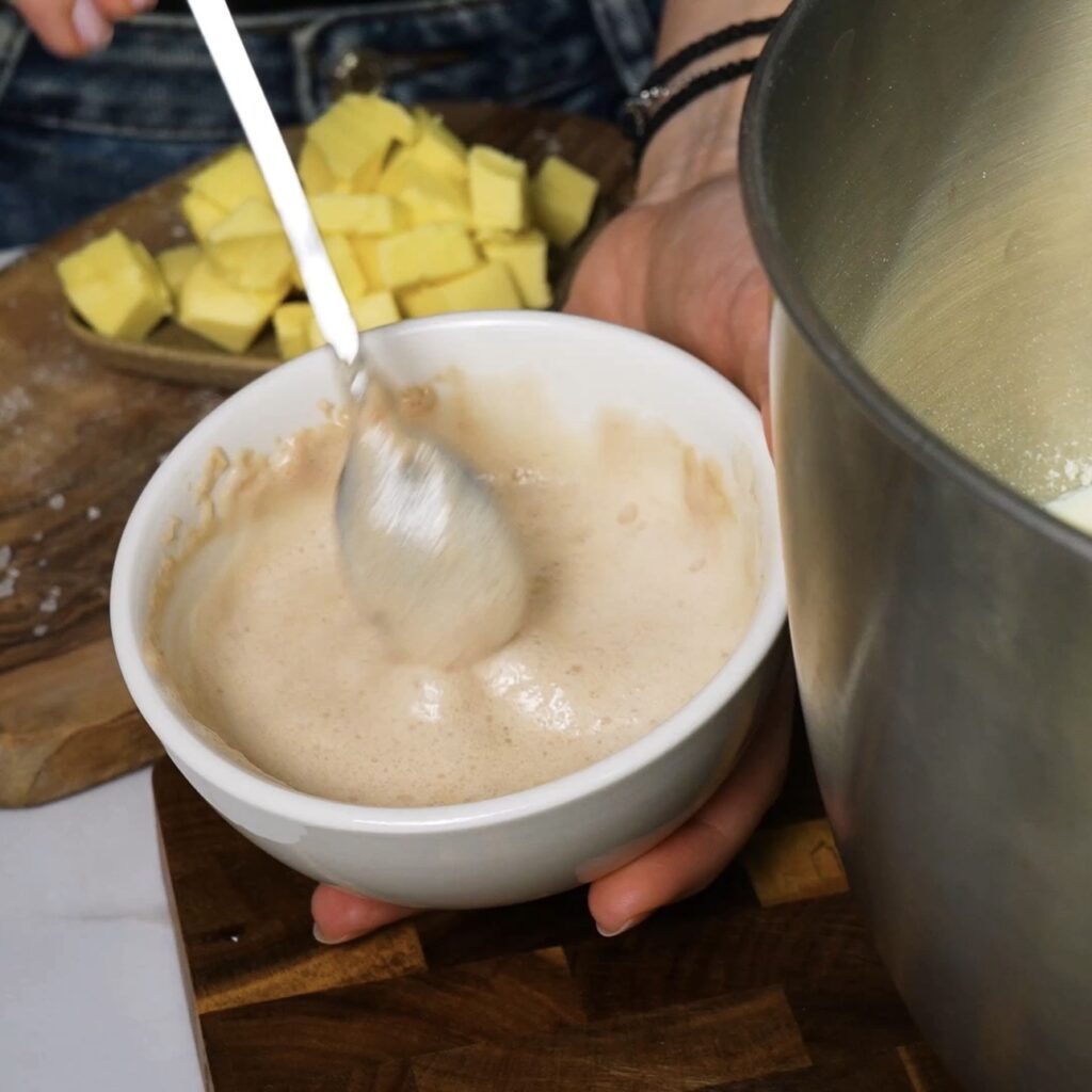 Foamy yeast mixture activated in a bowl for doughnut dough