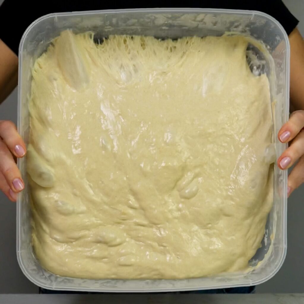 Risen ciabatta dough in a square container after overnight fermentation