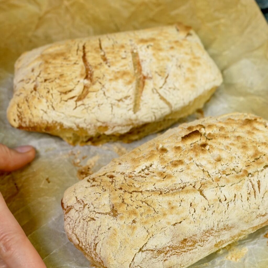 Freshly baked ciabatta loaves with golden crust