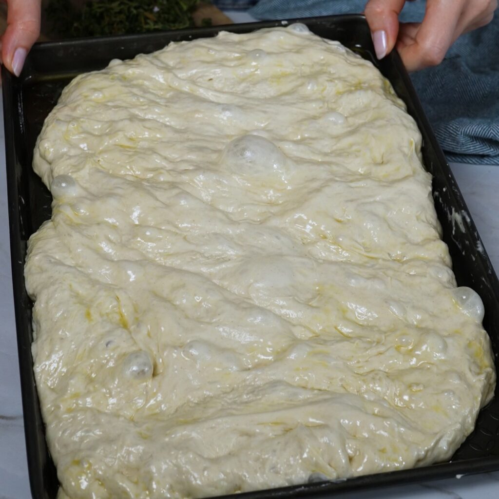 Focaccia dough in an oiled baking tray before final proofing, gently spread to fill the pan