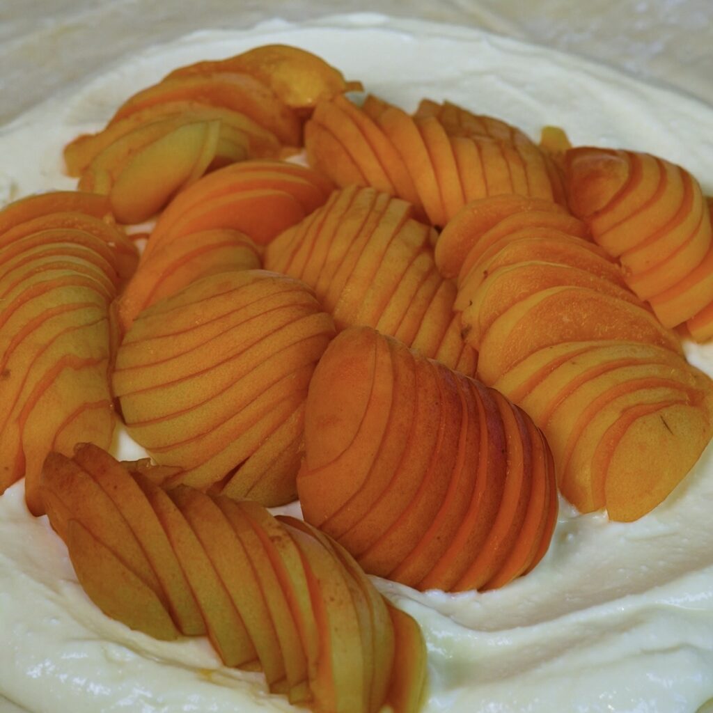 Arranging thinly sliced apricots over the cottage cheese filling for the Cottage Cheese Apricot Galette